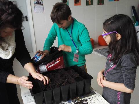 Preparação de tabuleiro para sementeira de produtos hortícolas.